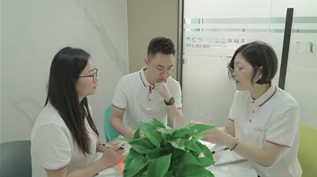 Our Team