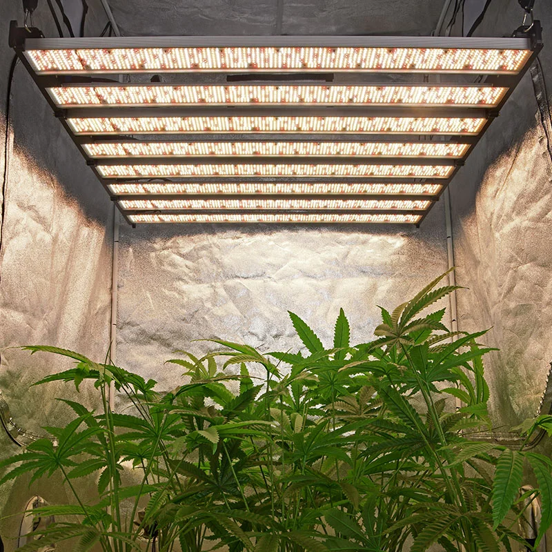 750W Wholesale Full Spectrum LED Grow Light - TG750