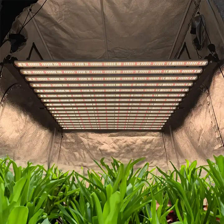 16 Bars 1000W Wholesale Full Spectrum LED Grow Light for Industry Growth - LX-GLM120-16