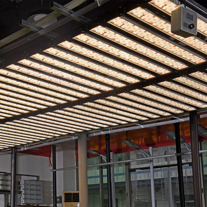 500W Wholesale Full Spectrum LED Grow Light - TG500