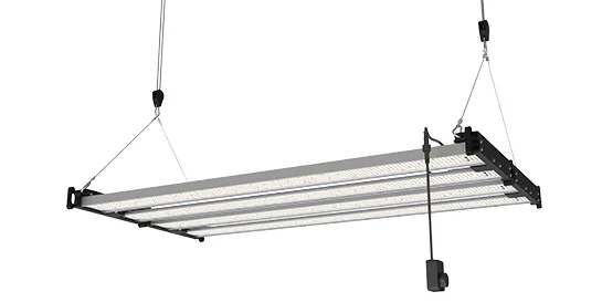 500W LED Grow Light