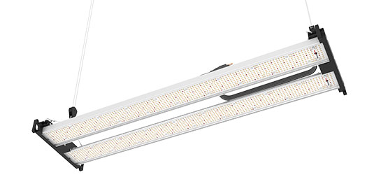 250W LED Grow Light