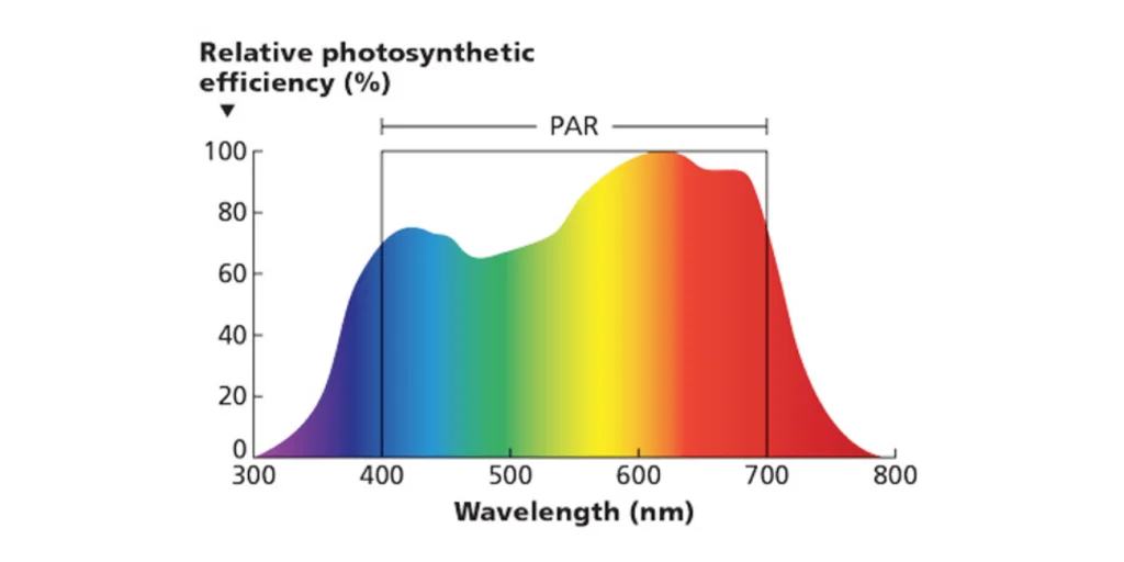 3 Important terms of plant growth lights Plant-growth-lights